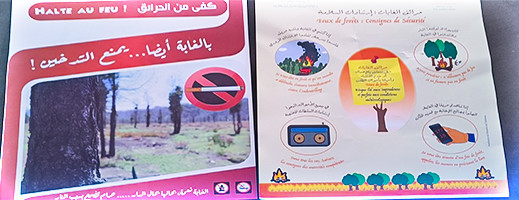 تخليد اليوم الوطني للتحسيس بمخاطر حرائق الغابات بأركمان تخليد اليوم الوطني للتحسيس بمخاطر حرائق الغابات بأركمان