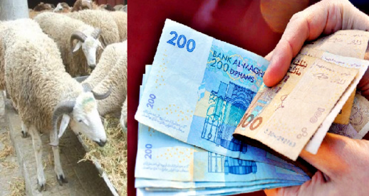 جدل دعم الحكومة لمستوردي الأغنام بـ 500 درهم لكل رأس يصل البرلمان جدل دعم الحكومة لمستوردي الأغنام بـ 500 درهم لكل رأس يصل البرلمان