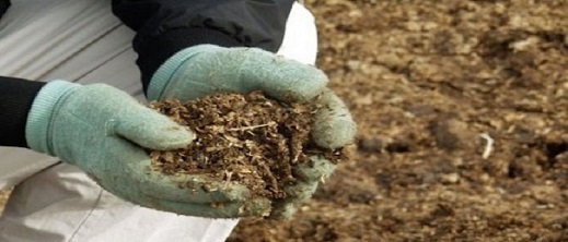 خطير.. مخلفات الدواجن لتسمين أضاحي العيد خطير.. مخلفات الدواجن لتسمين أضاحي العيد