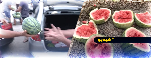 مزارع إسباني يدمر محصول مزارع إسباني يدمر محصول