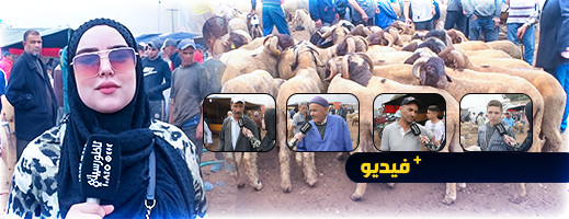إقبال ضعيف على اقتناء أضاحي العيد بسوق أزغنغان بسبب ارتفاع ثمنها إقبال ضعيف على اقتناء أضاحي العيد بسوق أزغنغان بسبب ارتفاع ثمنها