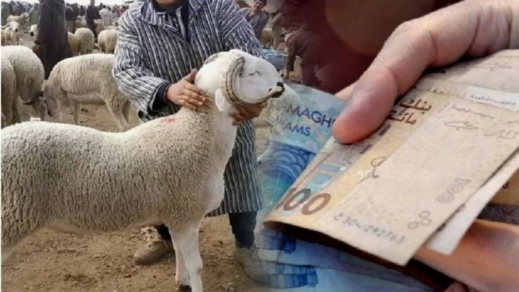 يهم الموظفين المتقاعدين بالناظور.. صرف استثنائي للمعاشات قبل عيد الأضحى