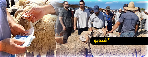 الكسابة بسوق ميضار الأسبوعي يكشفون أسباب ارتفاع أسعار الأضاحي الكسابة بسوق ميضار الأسبوعي يكشفون أسباب ارتفاع أسعار الأضاحي