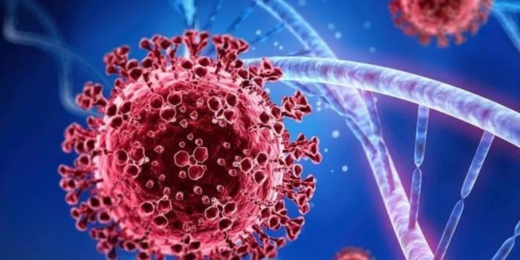 منظمة الصحة تدعو دول العالم للاستعداد لمرض أخطر من كورونا منظمة الصحة تدعو دول العالم للاستعداد لمرض أخطر من كورونا