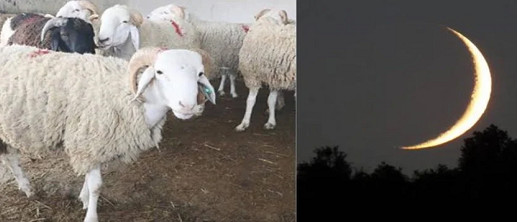 رسميا.. وزارة الأوقاف تعلن تاريخ عيد الأضحى بالمغرب رسميا.. وزارة الأوقاف تعلن تاريخ عيد الأضحى بالمغرب