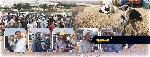 سوق الغنم بأزغنغان.. ارتفاع الأسعار يغضب المواطنين ويتسبب في العزوف عن شراء الأضاحي سوق الغنم بأزغنغان.. ارتفاع الأسعار يغضب المواطنين ويتسبب في العزوف عن شراء الأضاحي