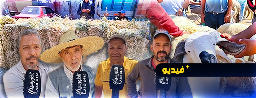 تجار "التبن" يكشفون أسباب ارتفاع الأسعار تزامنا مع عيد الأضحى تجار "التبن" يكشفون أسباب ارتفاع الأسعار تزامنا مع عيد الأضحى