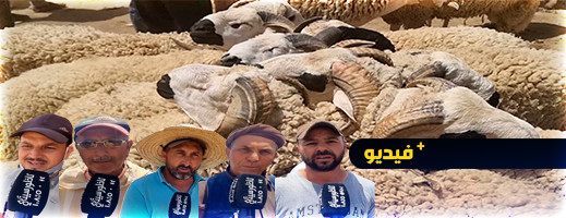 انتعاش الرواج التجاري بسوق الغنم للدريوش انتعاش الرواج التجاري بسوق الغنم للدريوش