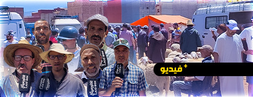 سعر الأضحية يصل مستويات قياسية بسوق بني بوعياش سعر الأضحية يصل مستويات قياسية بسوق بني بوعياش