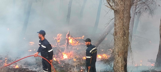 بعضها بجهة الشرق.. تحذيرات من اندلاع حرائق بغابات المغرب ابتداء من يوم غد بعضها بجهة الشرق.. تحذيرات من اندلاع حرائق بغابات المغرب ابتداء من يوم غد