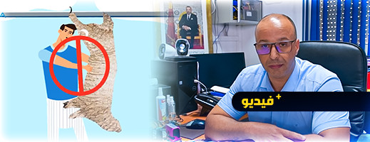 نصائح للحفاظ على الأضحية ولحم السقيطة بعد الذبح والسلخ نصائح للحفاظ على الأضحية ولحم السقيطة بعد الذبح والسلخ