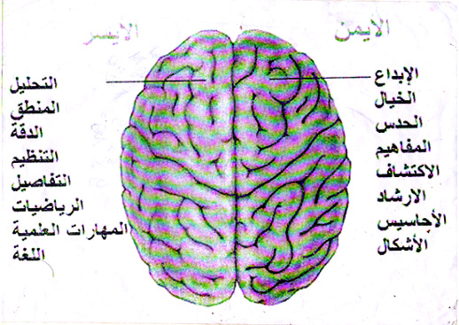 النّاظور تتعزّز بمركز لتطوير الذكاء العقلي والذهني والتفكير الإبداعي النّاظور تتعزّز بمركز لتطوير الذكاء العقلي والذهني والتفكير الإبداعي