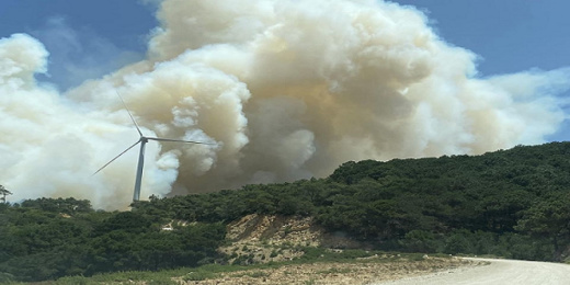 اندلاع حريق غابوي كبير شمال المغرب اندلاع حريق غابوي كبير شمال المغرب