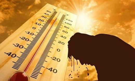 موجة الحر الشديد تقتل 112 شخصا بهذا البلد موجة الحر الشديد تقتل 112 شخصا بهذا البلد