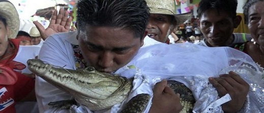 ألبسها فستان زفاف وأغلق فمها بإحكام.. رئيس بلدية يتزوج أنثى تمساح