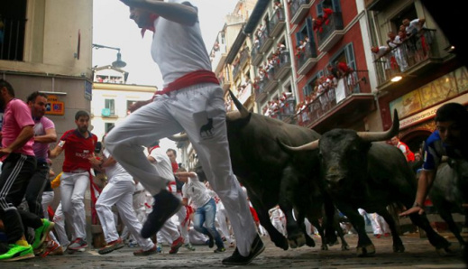 يبيدونها بعد المسابقة.. انطلاق الركض أمام الثيران في هذه المدينة يبيدونها بعد المسابقة.. انطلاق الركض أمام الثيران في هذه المدينة
