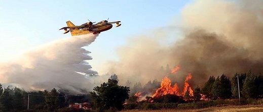هذا عدد حرائق الغابات في 2023.. والوقاية المدنية تستنفر عناصرها هذا عدد حرائق الغابات في 2023.. والوقاية المدنية تستنفر عناصرها