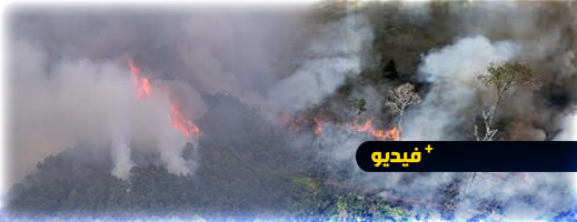 الحرائق تلتهم 2000 هكتار في اسبانيا متسببة في إجلاء 2500 نسمة الحرائق تلتهم 2000 هكتار في اسبانيا متسببة في إجلاء 2500 نسمة