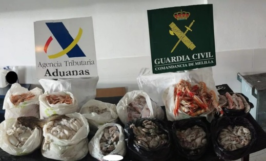 إحباط محاولة لتهريب كمية من الأسماك والمحار من المغرب بميناء مليلية