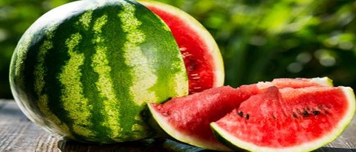 تسويق "دلاح" ملوث مرفوض في إسبانيا يقود وزير الفلاحة إلى المساءلة تسويق "دلاح" ملوث مرفوض في إسبانيا يقود وزير الفلاحة إلى المساءلة