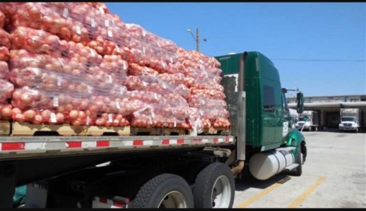المغرب يواصل منع تصدير البطاطس والبصل المغرب يواصل منع تصدير البطاطس والبصل