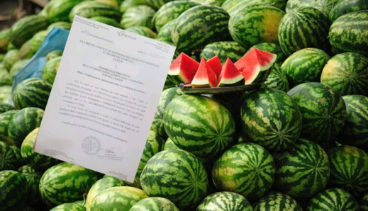 تحذير رسمي من "أونسا".. "دلاح" مسموم يغزو أسواق المغرب تحذير رسمي من "أونسا".. "دلاح" مسموم يغزو أسواق المغرب