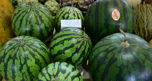 شحنة بطيخ غير صحي.. مجموعة مرجان توضح شحنة بطيخ غير صحي.. مجموعة مرجان توضح