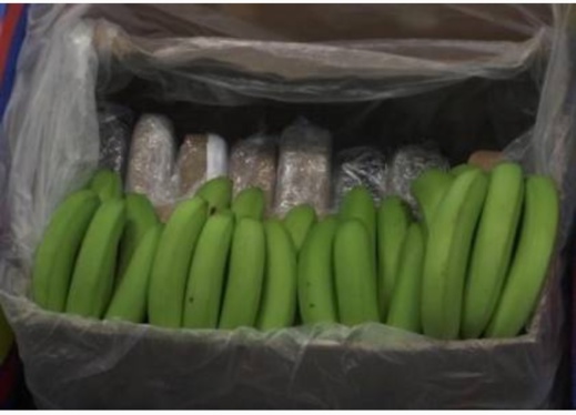 حجز أطنان من الكوكايين بميناء هذه المدينة الأوروبية حجز أطنان من الكوكايين بميناء هذه المدينة الأوروبية