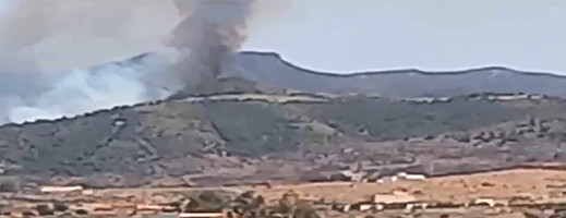 اندلاع حريق كبير في غابة اندلاع حريق كبير في غابة