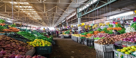 أسعار الخضر والفواكه تعود لإلهاب جيوب المواطنين.. ومهني يكشف الأسباب أسعار الخضر والفواكه تعود لإلهاب جيوب المواطنين.. ومهني يكشف الأسباب