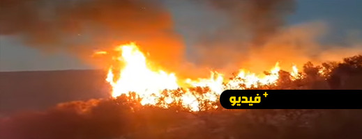 السلطات ورجال الإطفاء والساكنة تتمكن من إخماد حريق بغابات الحسيمة السلطات ورجال الإطفاء والساكنة تتمكن من إخماد حريق بغابات الحسيمة