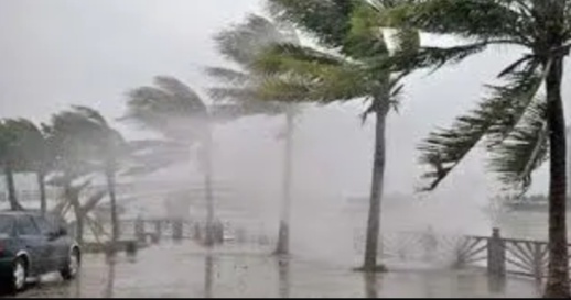 طقس الأحد.. رياح قوية ينتظر هبوبها بعدد من المناطق منها الناظور طقس الأحد.. رياح قوية ينتظر هبوبها بعدد من المناطق منها الناظور