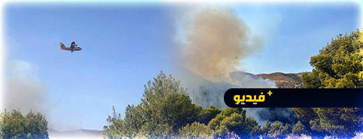 طائرتان تحاولان الإطفاء.. النيران تحرق غابات بالدريوش مستنفرة عامل الإقليم والسلطات