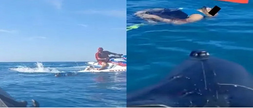 إلغاء حفل غنائي لفنانة جزائرية في المغرب بسبب حادث السعيدية إلغاء حفل غنائي لفنانة جزائرية في المغرب بسبب حادث السعيدية