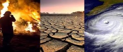 الأمين العام للأمم المتحدة.. مناخنا ينهار بشكل أسرع مما يمكننا من مواجهته
