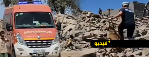 فريق بحث مزود بالكلاب المدربة يباشر البحث عن ناجين تحت الأنقاض فريق بحث مزود بالكلاب المدربة يباشر البحث عن ناجين تحت الأنقاض