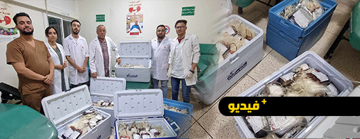 تعزيز مخزون الدم بالناظور بمئات الأكياس.. والأطقم الطبية تعمل خارج أوقات العمل تعزيز مخزون الدم بالناظور بمئات الأكياس.. والأطقم الطبية تعمل خارج أوقات العمل