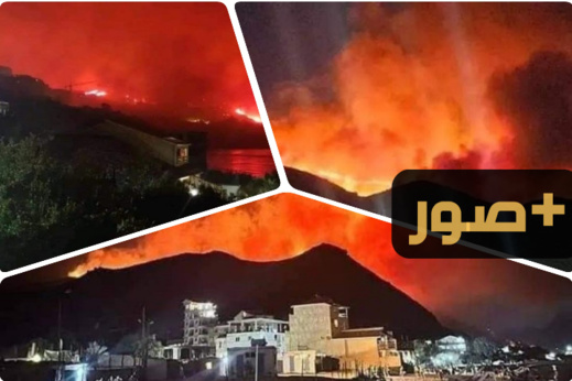 حريق مخيف يلتهم الغابات بالجزائر والنيران على مقربة من المناطق المأهولة حريق مخيف يلتهم الغابات بالجزائر والنيران على مقربة من المناطق المأهولة