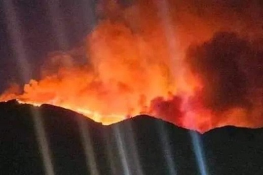 حريق مخيف يلتهم الغابات بالجزائر والنيران على مقربة من المناطق المأهولة حريق مخيف يلتهم الغابات بالجزائر والنيران على مقربة من المناطق المأهولة