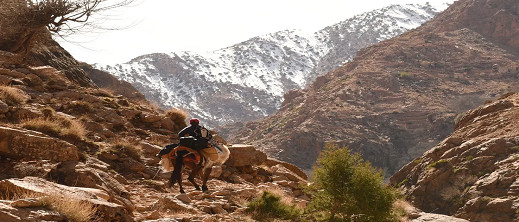معهد الجيوفيزياء الوطني يكشف عن خطر الانهيارات المستمرة بسبب تأثيرات الزلزال معهد الجيوفيزياء الوطني يكشف عن خطر الانهيارات المستمرة بسبب تأثيرات الزلزال