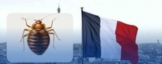 وزارة الصحة تستنفر مصالحها لمجابهة خطر دخول البق الفرنسي