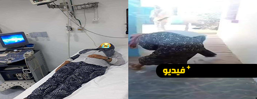 والدة تلميذ تعتدي على أستاذة بالركل والرفس والسحل داخل مدرسة ابتدائية والدة تلميذ تعتدي على أستاذة بالركل والرفس والسحل داخل مدرسة ابتدائية
