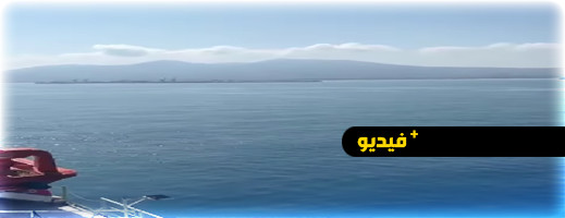 كانت ستدخل الناظور.. إيقاف سفينة قادمة من فرنسا لوجود بيض بق الفراش بها كانت ستدخل الناظور.. إيقاف سفينة قادمة من فرنسا لوجود بيض بق الفراش بها
