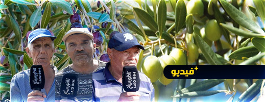 الفلاحون ببوعرك يوضحون بخصوص أثمنة الزيتون وزيته هذه السنة الفلاحون ببوعرك يوضحون بخصوص أثمنة الزيتون وزيته هذه السنة