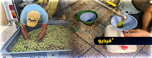 رغم وفرة الغلة.. سعر زيت الزيتون بإمزورن والحسيمة يغلي رغم وفرة الغلة.. سعر زيت الزيتون بإمزورن والحسيمة يغلي