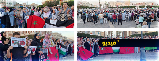 الناظور.. وقفة احتجاجية تضامنا مع غزة الناظور.. وقفة احتجاجية تضامنا مع غزة