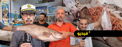 تجار السمك بالناظور يسجلون ضعفا في الإقبال رغم وفرة العرض تجار السمك بالناظور يسجلون ضعفا في الإقبال رغم وفرة العرض