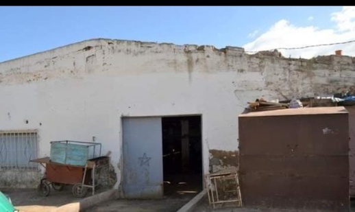 انعدام شروط السلامة الصحية.. مطالب بوقف عملية الذبح بالمسلخ البلدي بأزغنغان انعدام شروط السلامة الصحية.. مطالب بوقف عملية الذبح بالمسلخ البلدي بأزغنغان