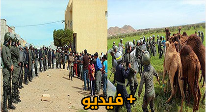 السلطات تمنع مسيرة غاضبة لساكنة تيزطوطين استعانت بالجمال والماشية السلطات تمنع مسيرة غاضبة لساكنة تيزطوطين استعانت بالجمال والماشية