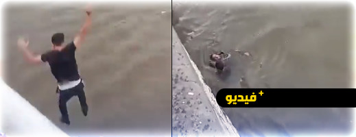 شباب مغاربة يقفزون في المياه الباردة لإنقاذ حياة رجل في بلجيكا شباب مغاربة يقفزون في المياه الباردة لإنقاذ حياة رجل في بلجيكا